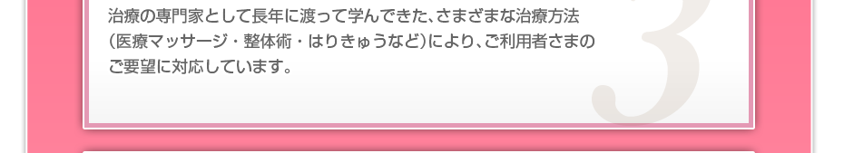 治療の専門家として長年に渡って学んできた、さまざまな治療方法（医療マッサージ・整体術・はりきゅうなど）により、ご利用者さまのご要望に対応しています。